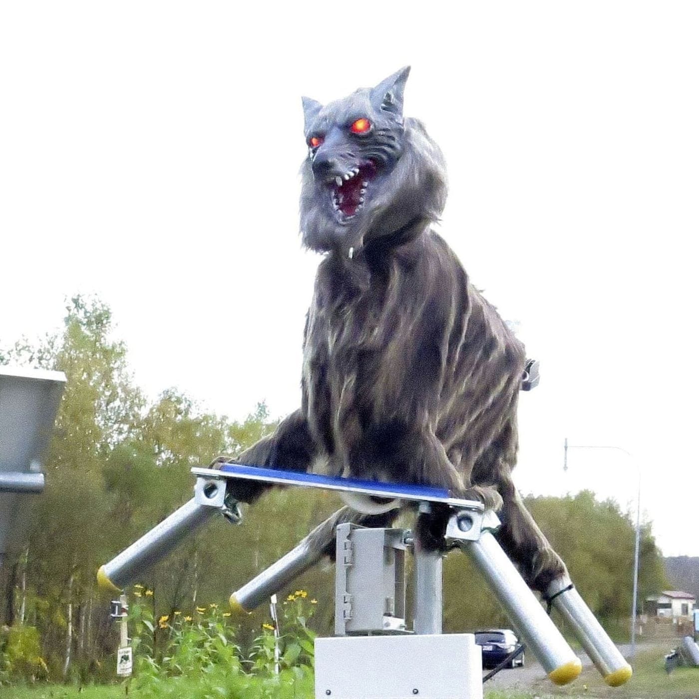 robotfarkasok