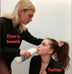 Elon Musk Twitter
