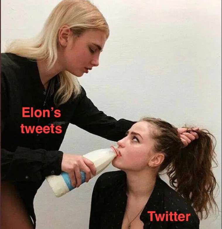 Elon Musk Twitter