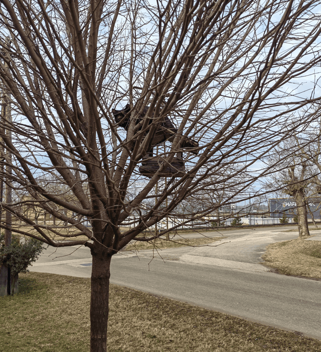 huawei p50 pro teszt