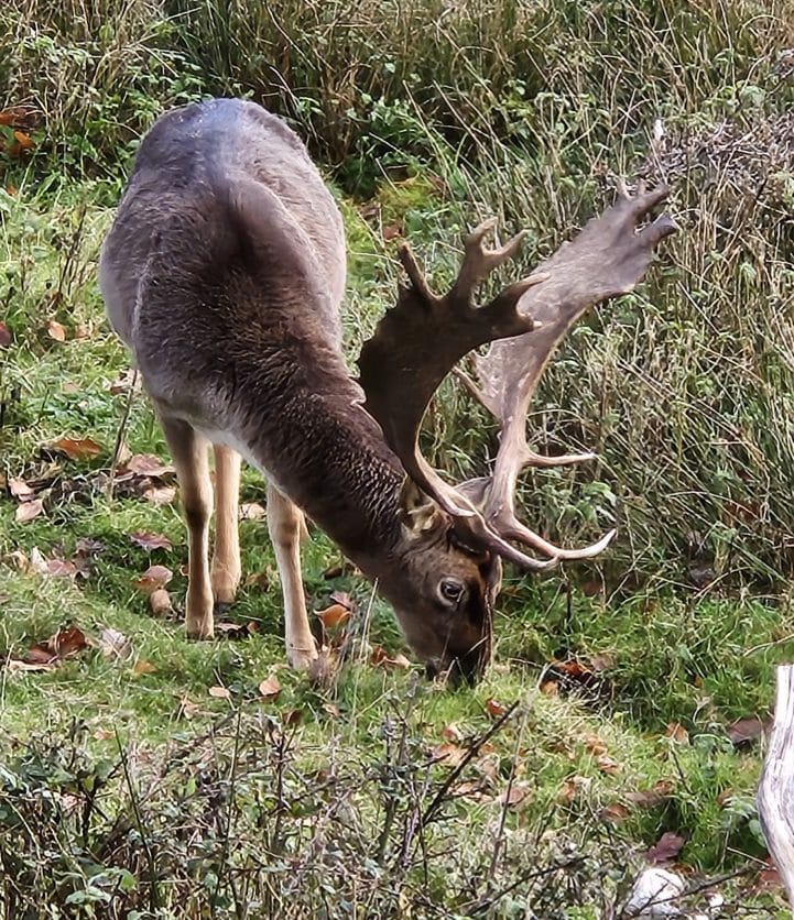 Természetfotó Samsung15
