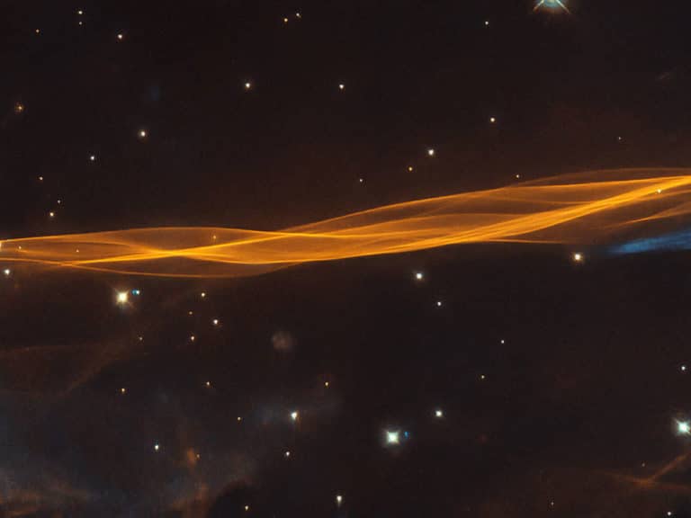 cygnus