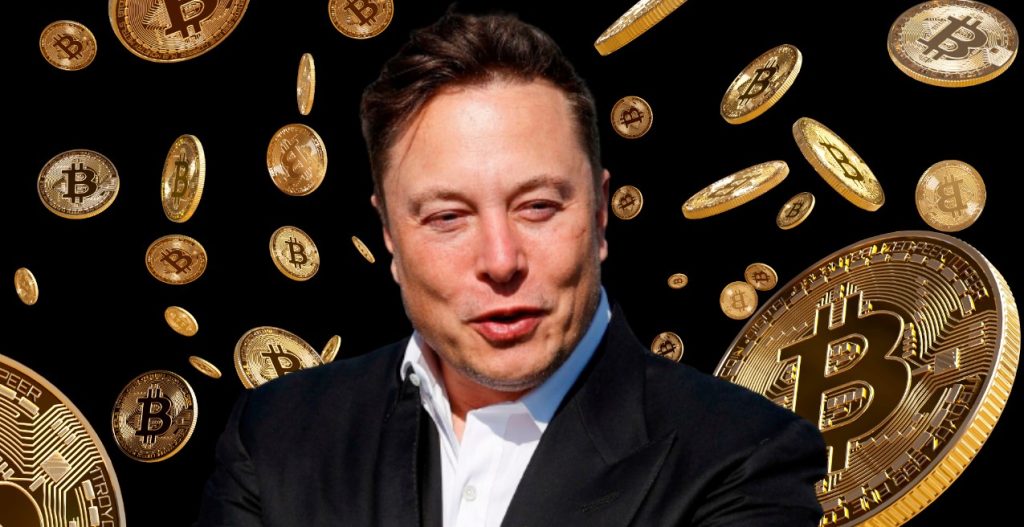 elon musk csalók
