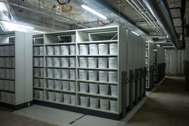 világ legnagyobb emberi agygyűjteménye