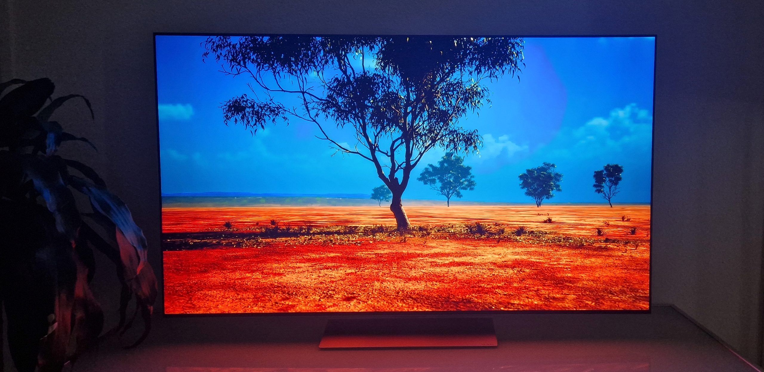 LG OLED