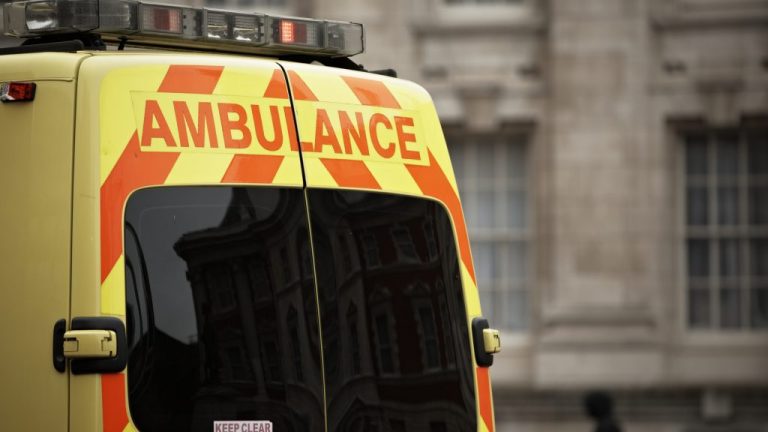 mentő mesterséges intelligencia ekg