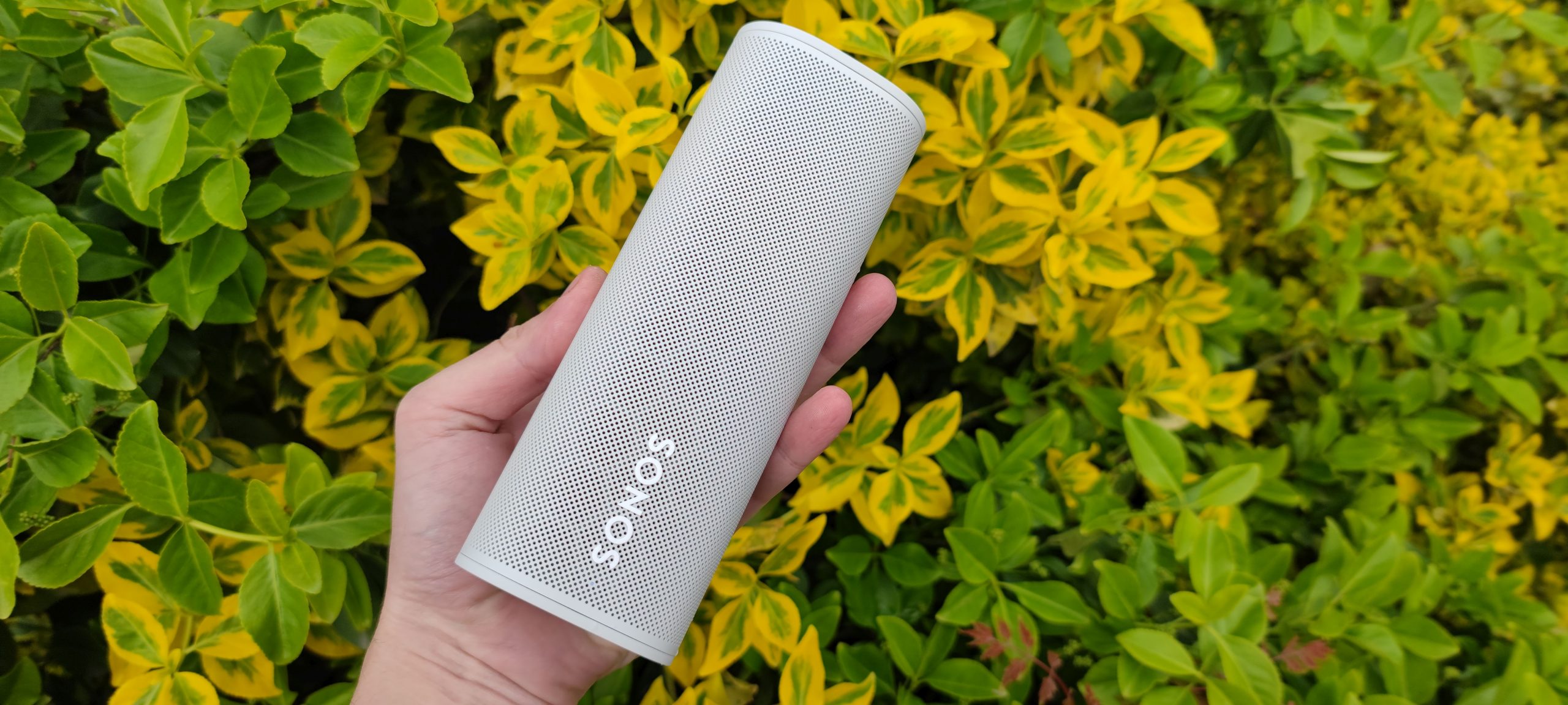 sonos roam