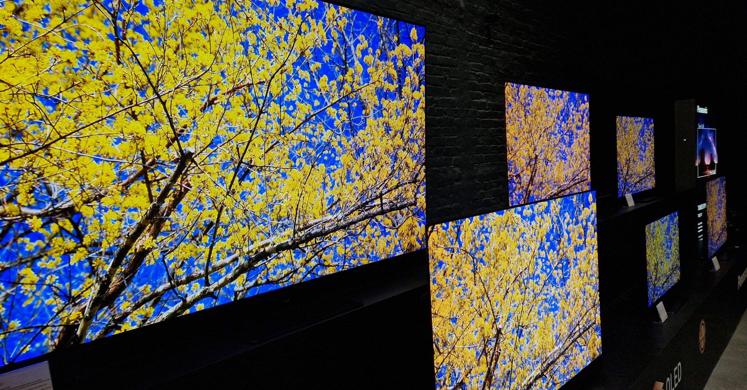 panasonic oled