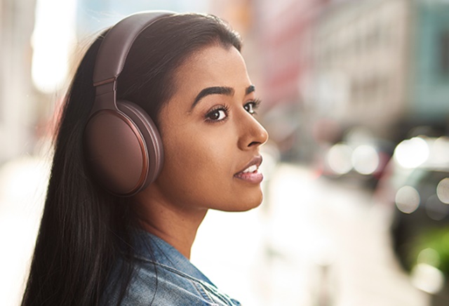 Panasonic fejhallgató HD610N