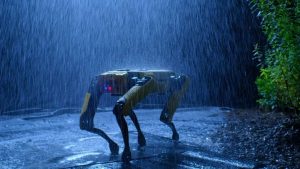 robotkutya chatgpt