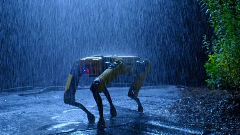robotkutya chatgpt
