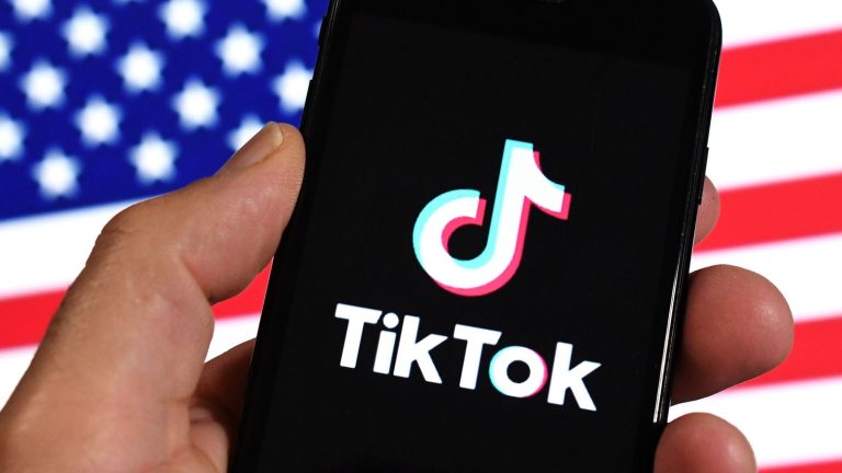 tiktok per usa