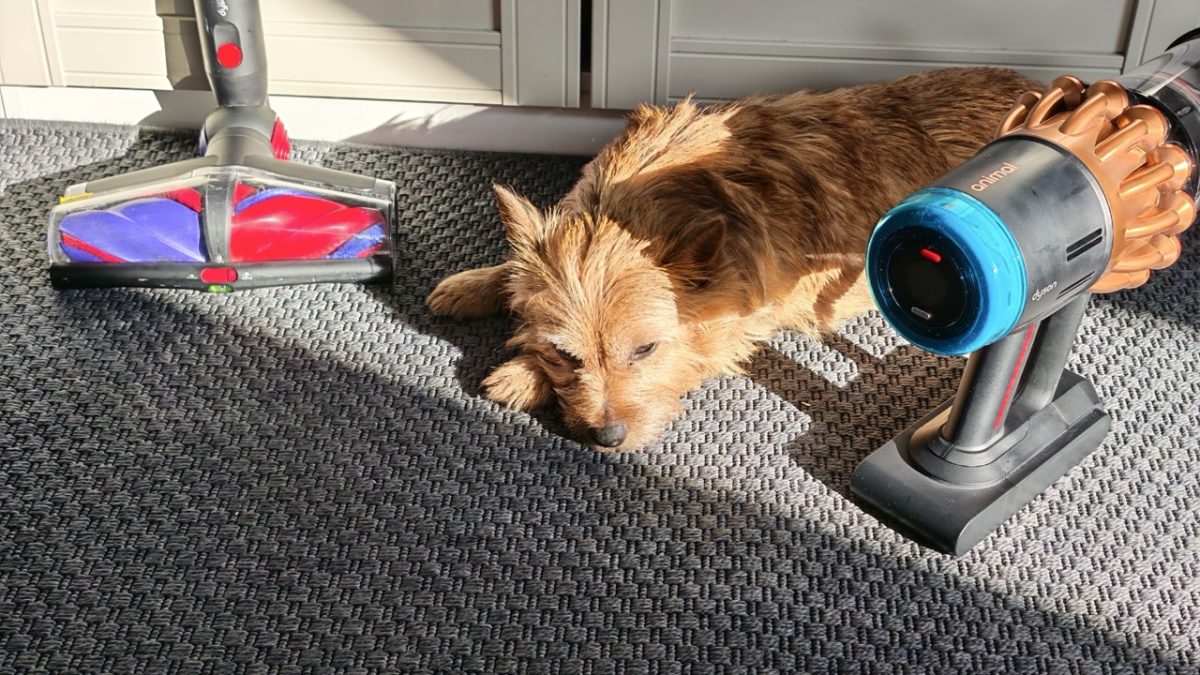 Dyson V16 Piston Animal teszt